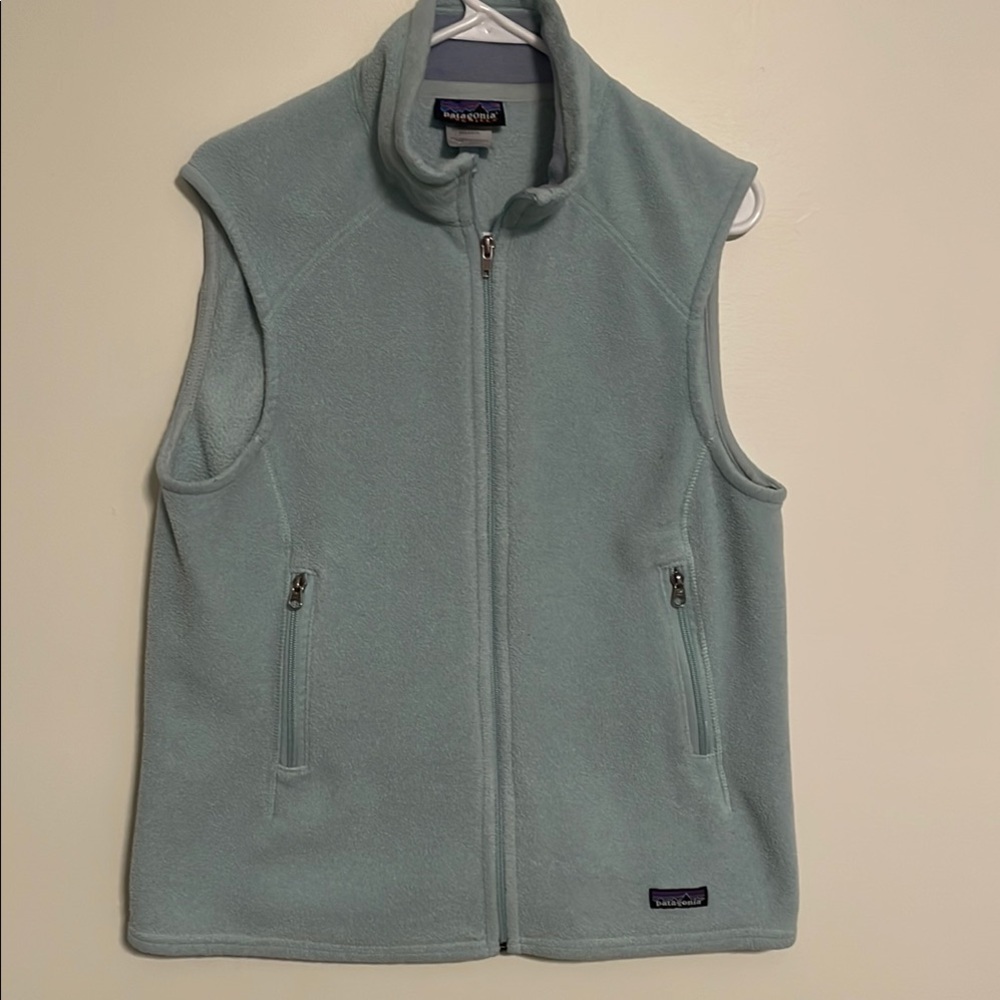 Patagonia Light Blue Fleece Vest